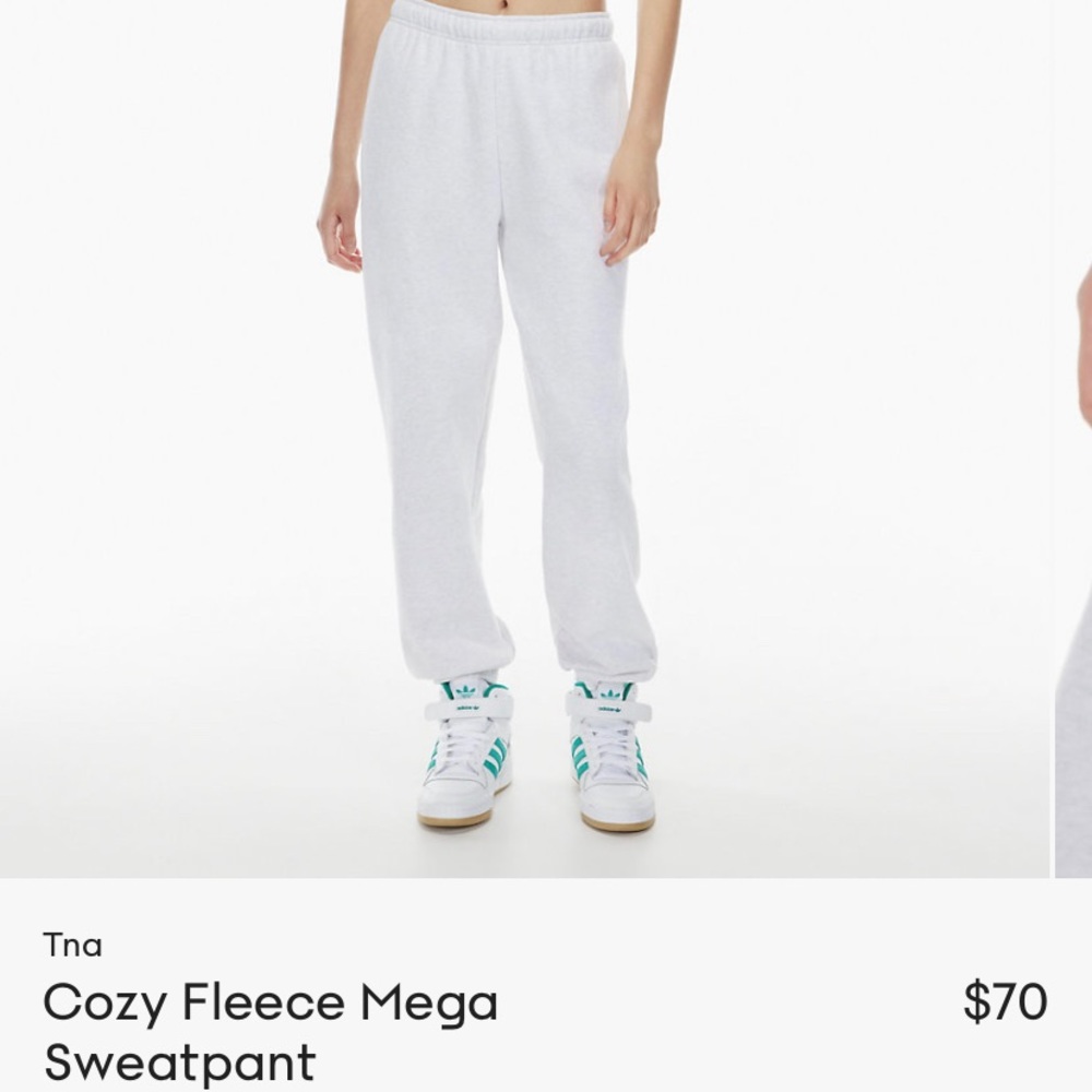 Aritzia Cozy Fleece Mega Fleece Sweatpants